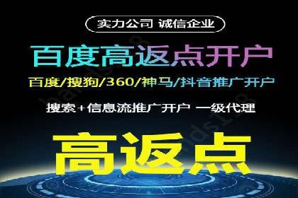 百度竞价价格解析，成功案例分享